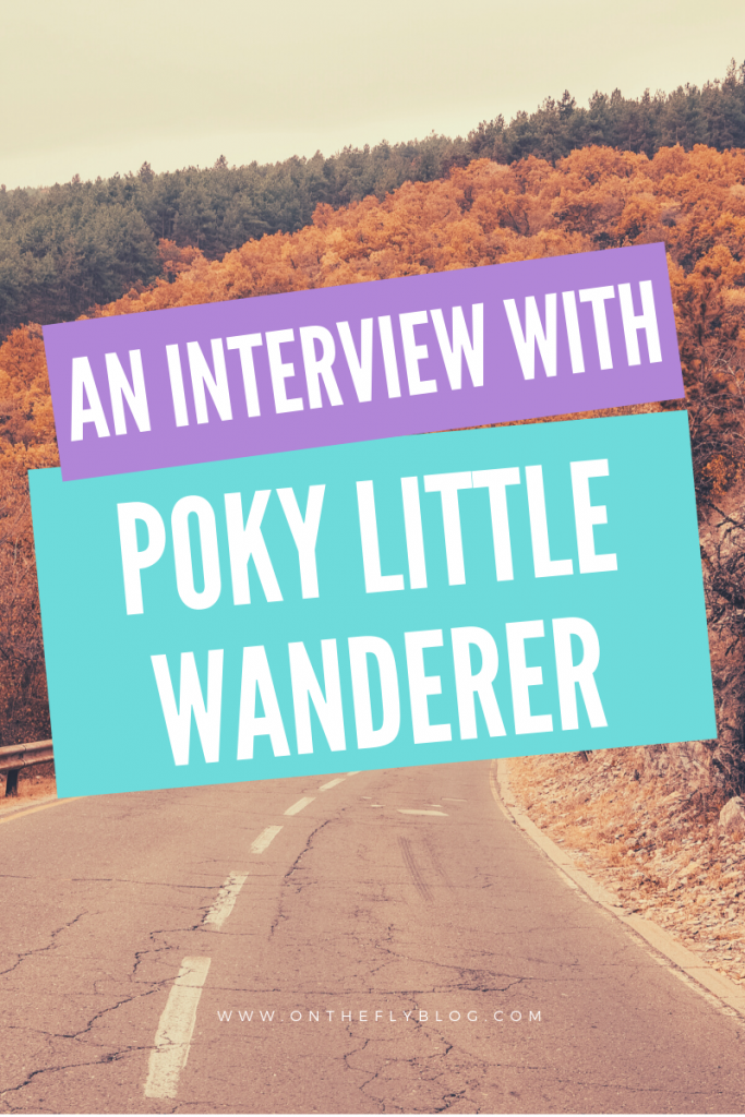 pin image of an autumnal road with the title "an interview with poky little wanderer"
